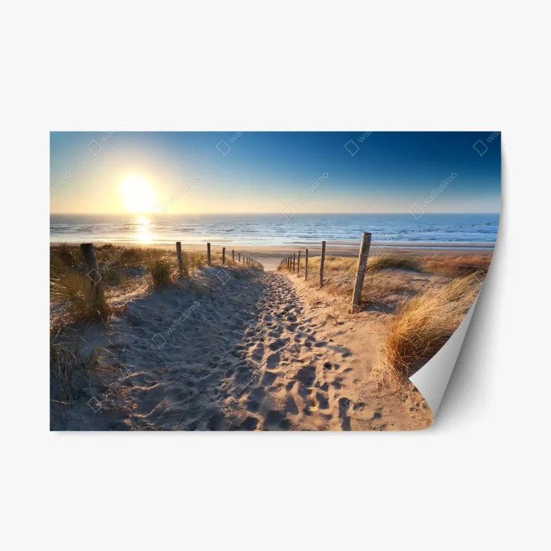 Adesivo riposizionabile tramonto sulle dune di Zandvoort