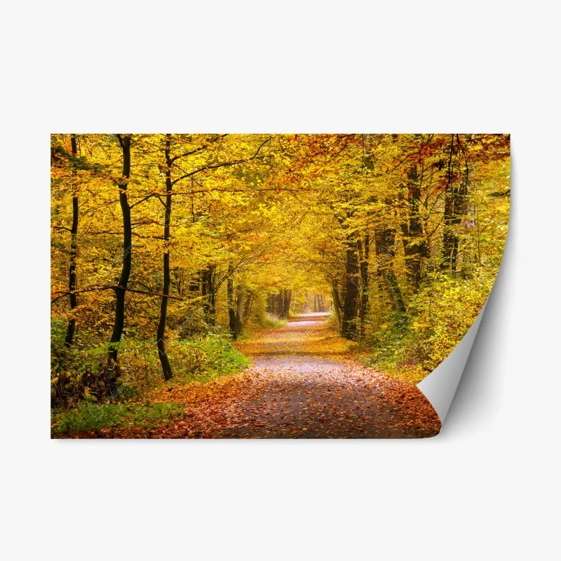 Adesivo riposizionabile sentiero d'autunno nel bosco dorato