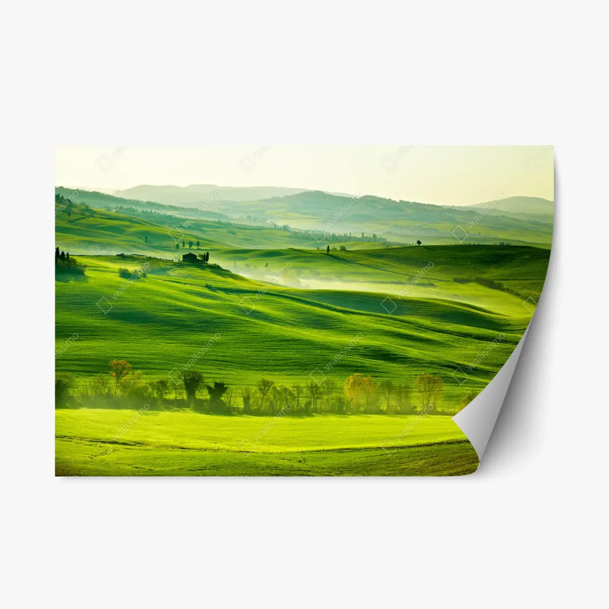 Adesivo riposizionabile paesaggio ondulato a San Quirico d'Orcia, Toscana • Wallissimo® Adesivo riposizionabile paesaggio ondulato a San Quirico d'Orcia, Toscana • Wallissimo®