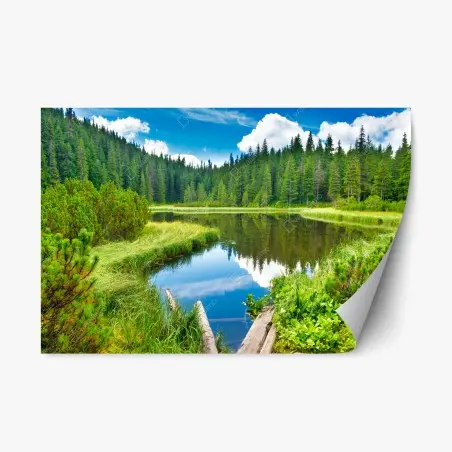 Adesivo riposizionabile oasi di riflessi nel bosco • Wallissimo®