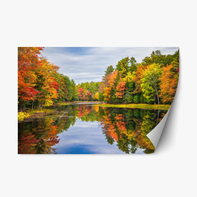 Adesivo riposizionabile riflessi d'autunno sullo stagno