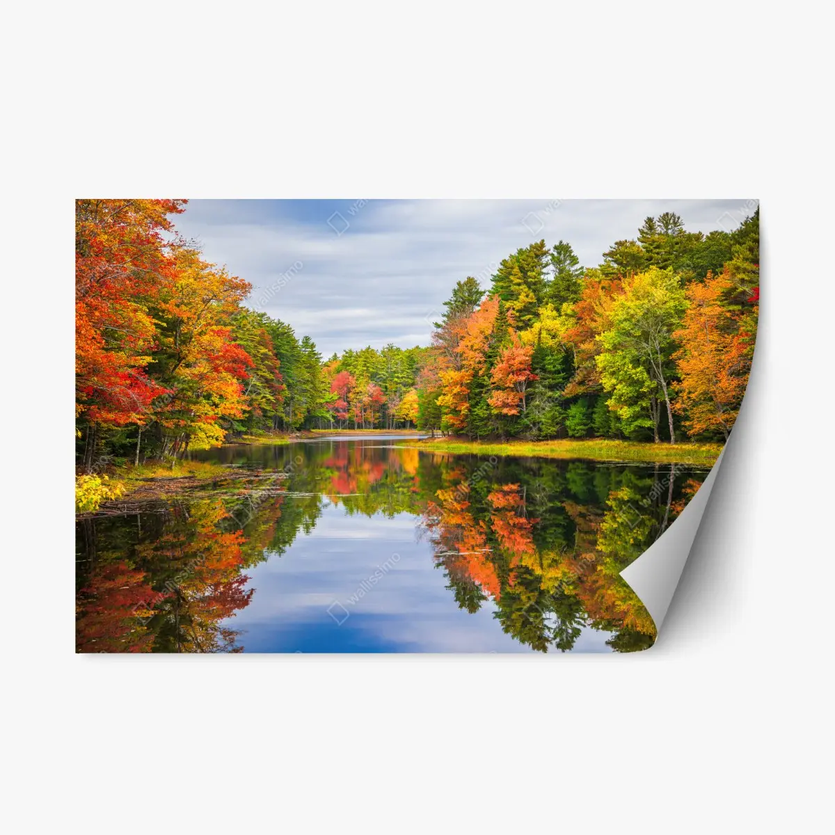 Adesivo riposizionabile riflessi d'autunno sullo stagno • Wallissimo®
