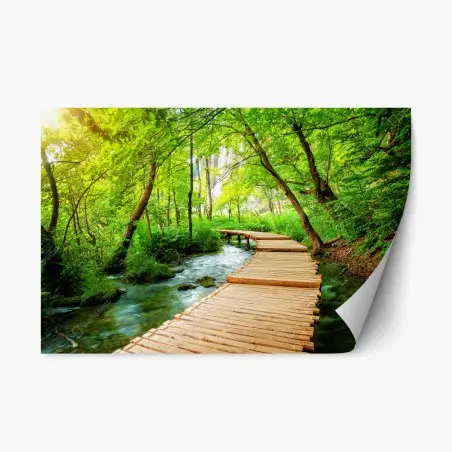 Adesivo riposizionabile sentiero di legno nel Parco Nazionale dei Laghi di Plitvice • Wallissimo®