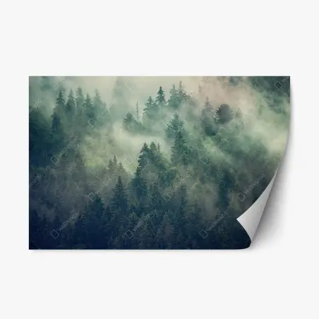 Adesivo riposizionabile foresta di abeti nella nebbia • Wallissimo®