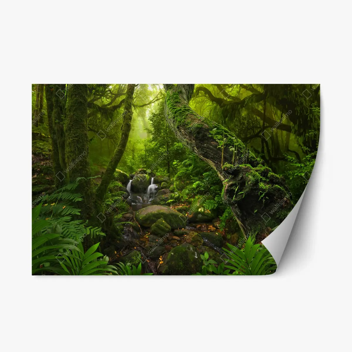Adesivo riposizionabile foresta incantata immersa nel verde • Wallissimo®