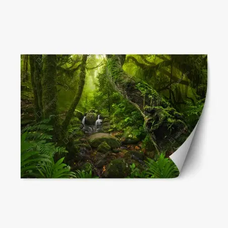 Adesivo riposizionabile foresta incantata immersa nel verde • Wallissimo®