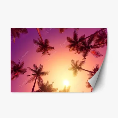 Adesivo riposizionabile paesaggio tropicale al tramonto con palme • Wallissimo®