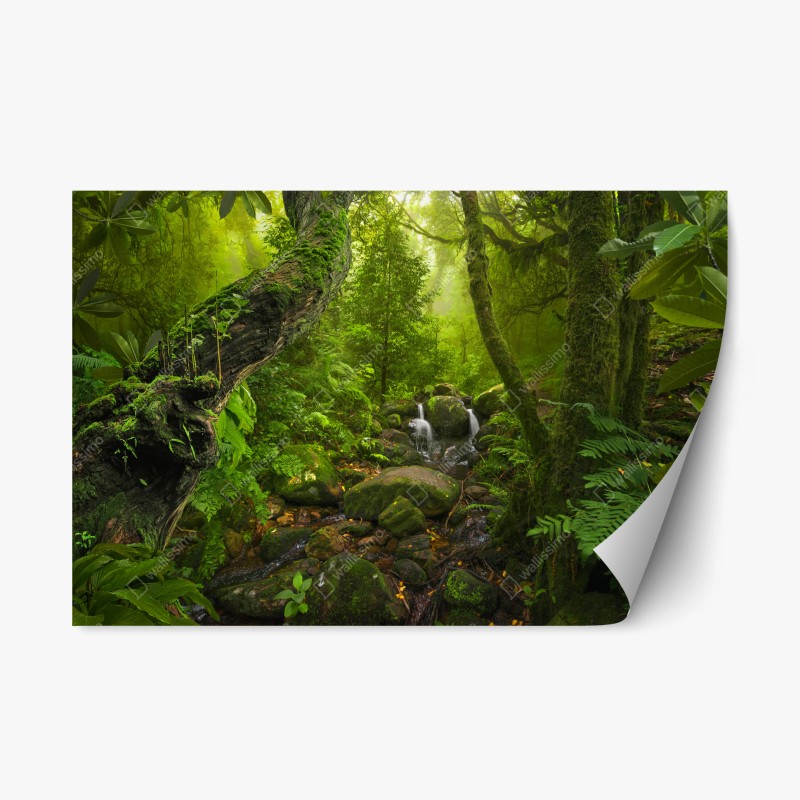 Adesivo riposizionabile oasi verde nella foresta incantata