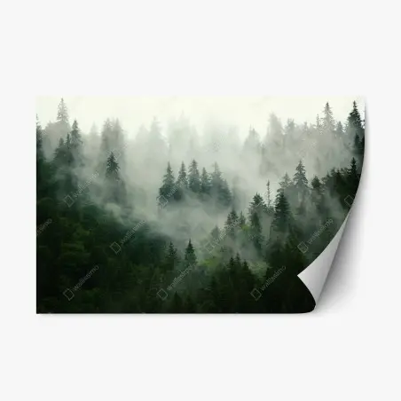 Adesivo riposizionabile foresta di abeti nella nebbia • Wallissimo®