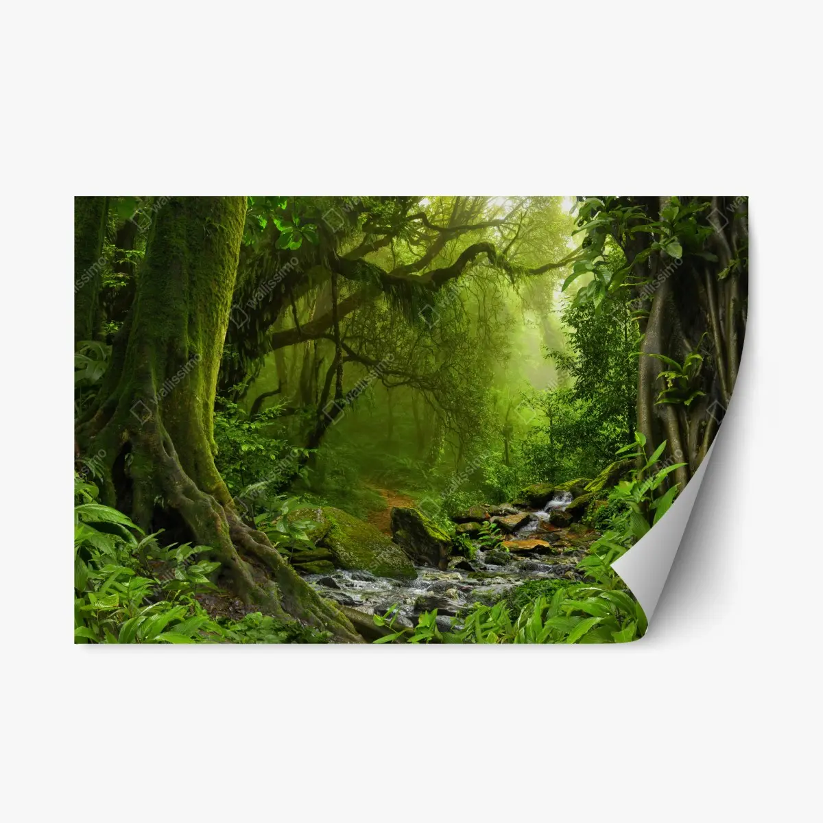 Adesivo riposizionabile sentiero segreto nella foresta verde • Wallissimo®