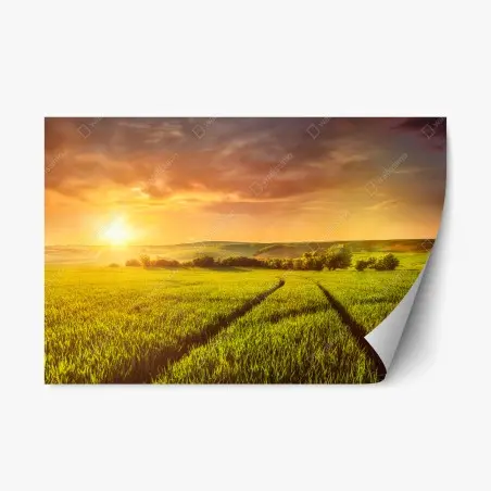 Adesivo riposizionabile tramonto dorato sulle colline verdi • Wallissimo®