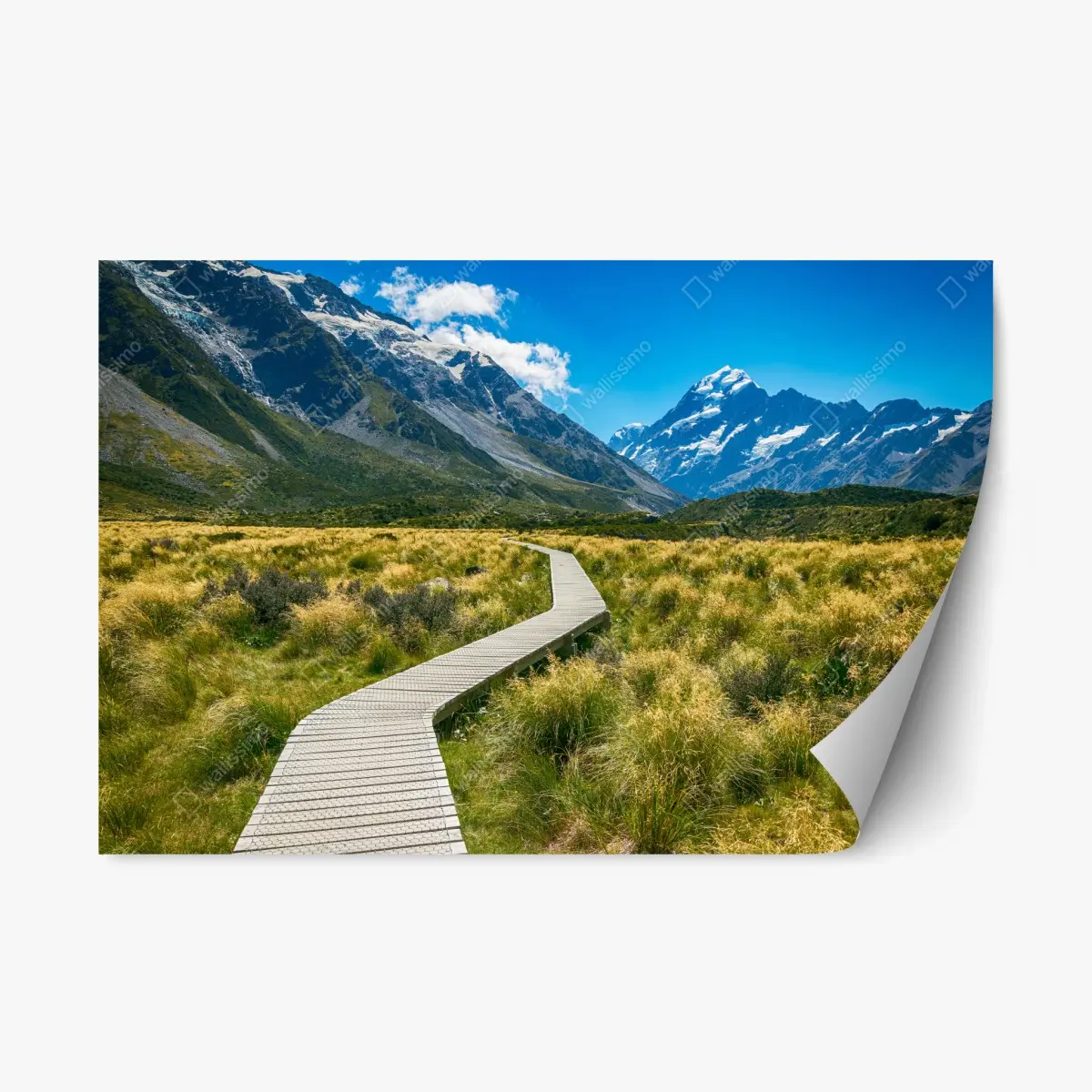 Adesivo riposizionabile sentiero verso le montagne innevate • Wallissimo®