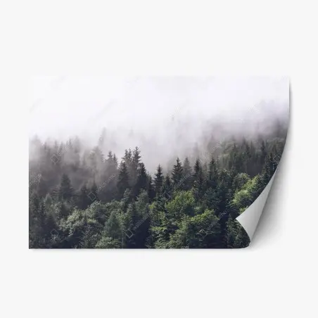 Adesivo riposizionabile foresta avvolta nella nebbia • Wallissimo®