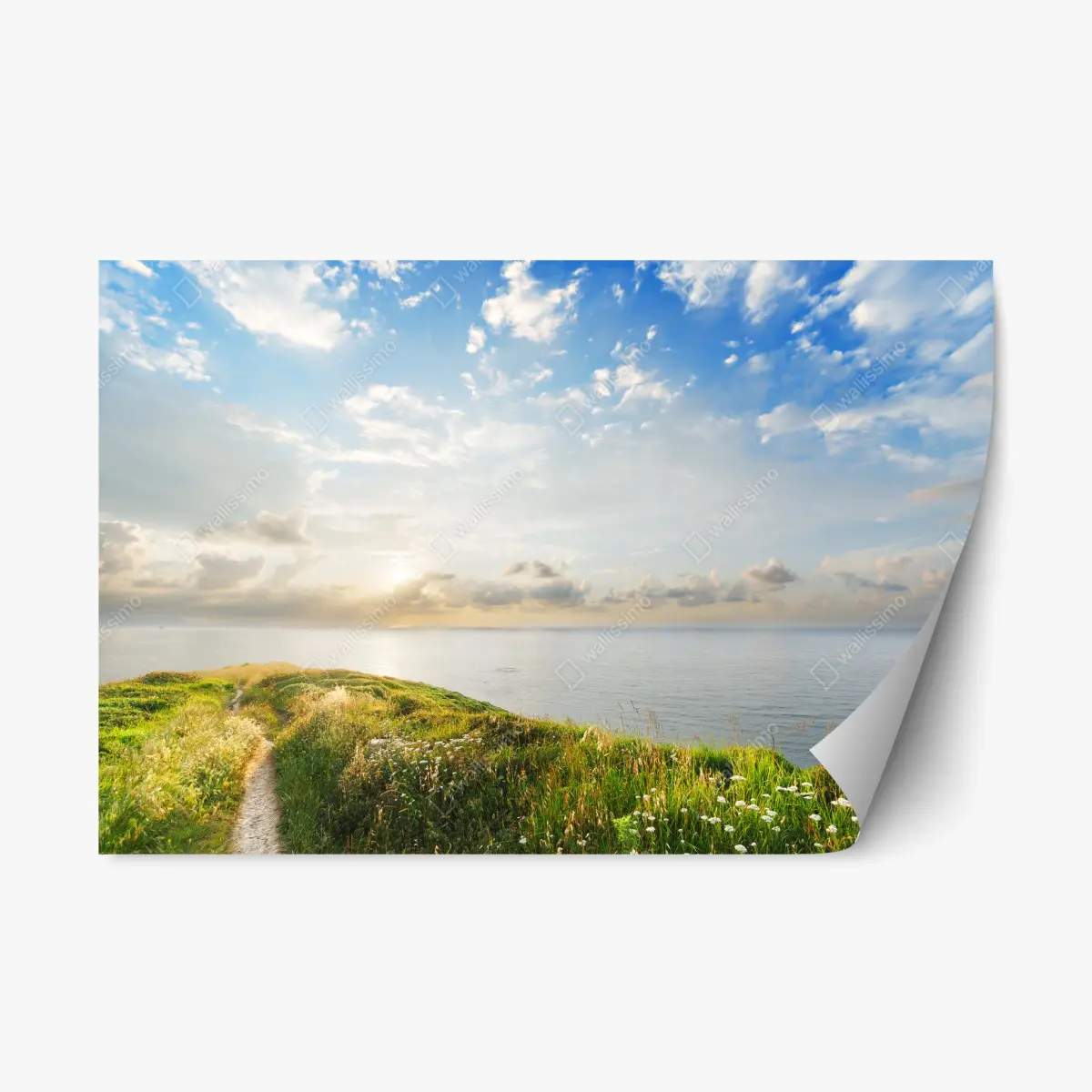 Adesivo riposizionabile sentiero verso il mare al tramonto • Wallissimo®