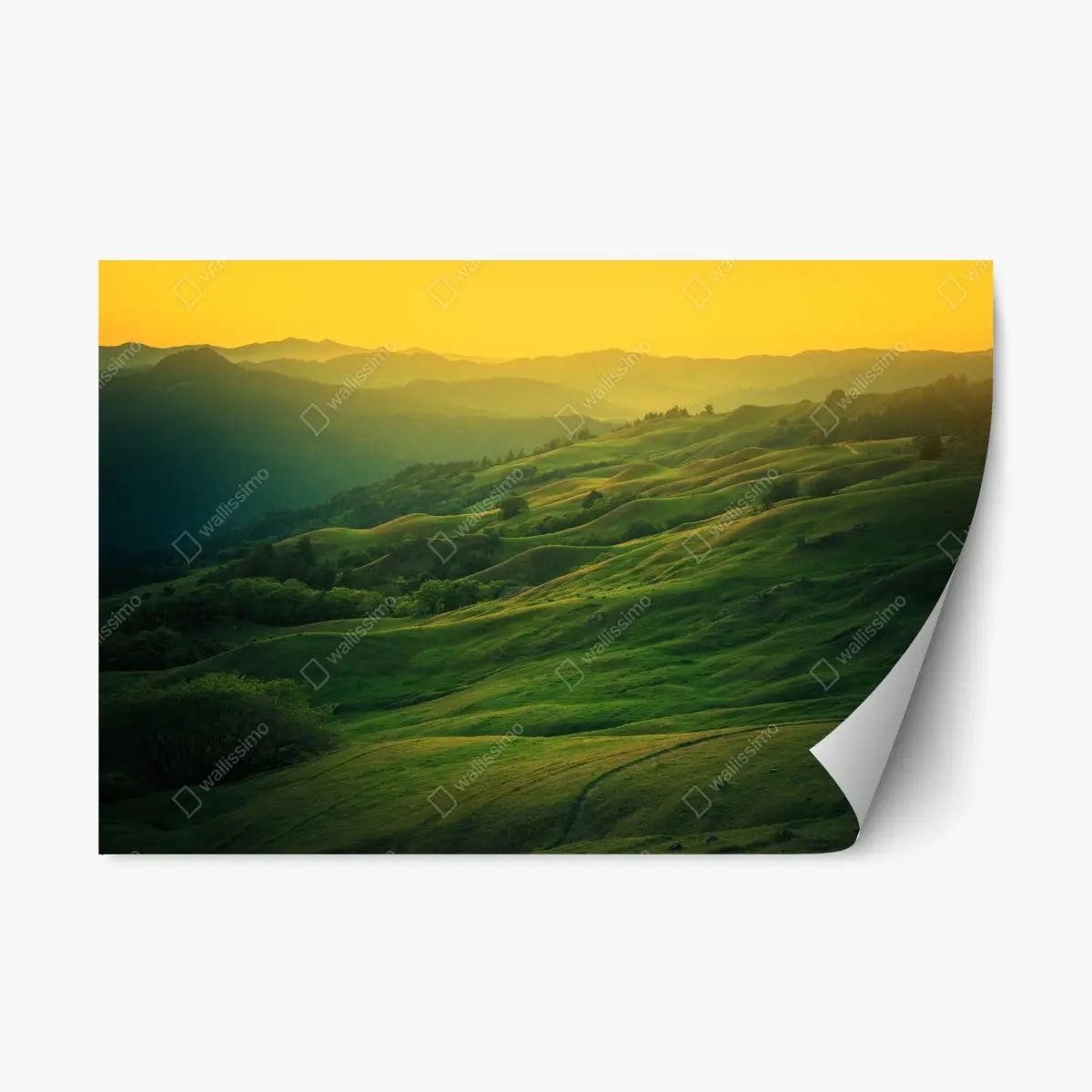 Adesivo riposizionabile colline dorate della California • Wallissimo®