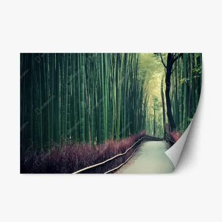 Adesivo riposizionabile sentiero sereno nel bosco di bambù di Arashiyama • Wallissimo®
