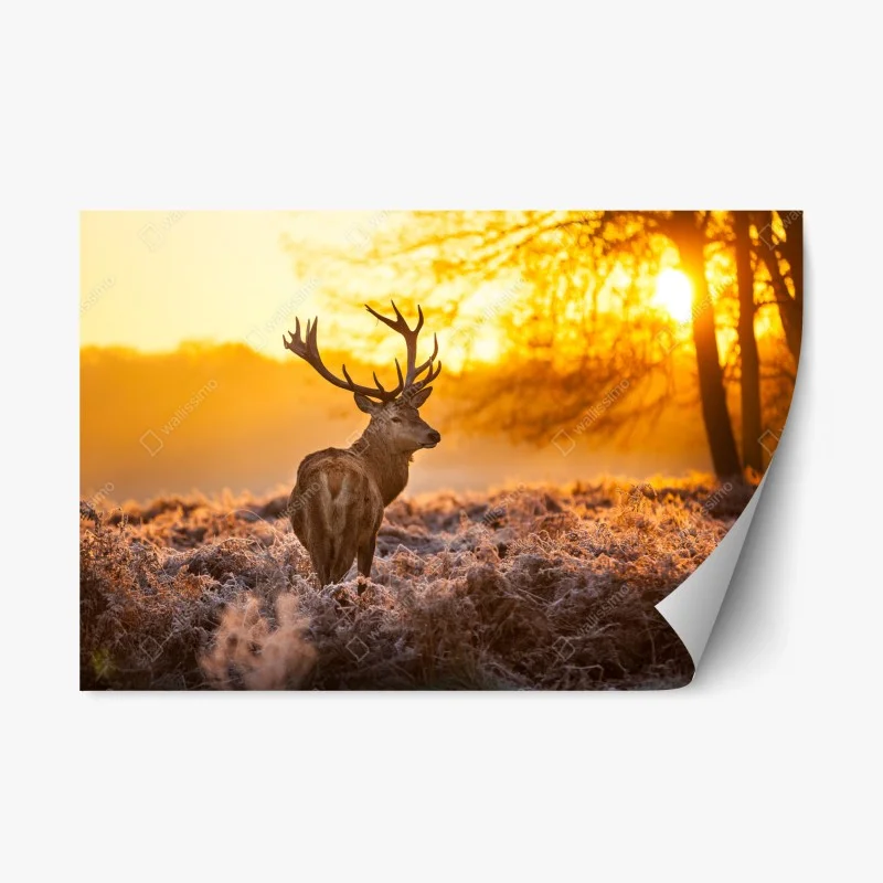 Adesivo riposizionabile cervo all'alba nel campo gelato