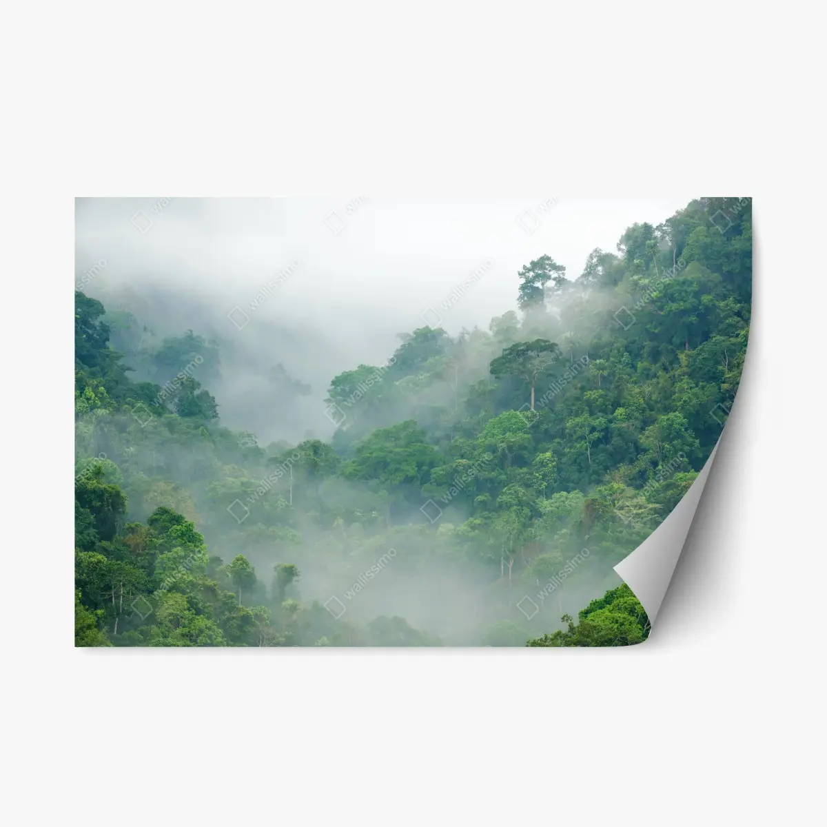 Adesivo riposizionabile nebbia mattutina nella foresta pluviale di Kaeng Krachan, Thailandia • Wallissimo® Adesivo riposizionabile nebbia mattutina nella foresta pluviale di Kaeng Krachan, Thailandia • Wallissimo®