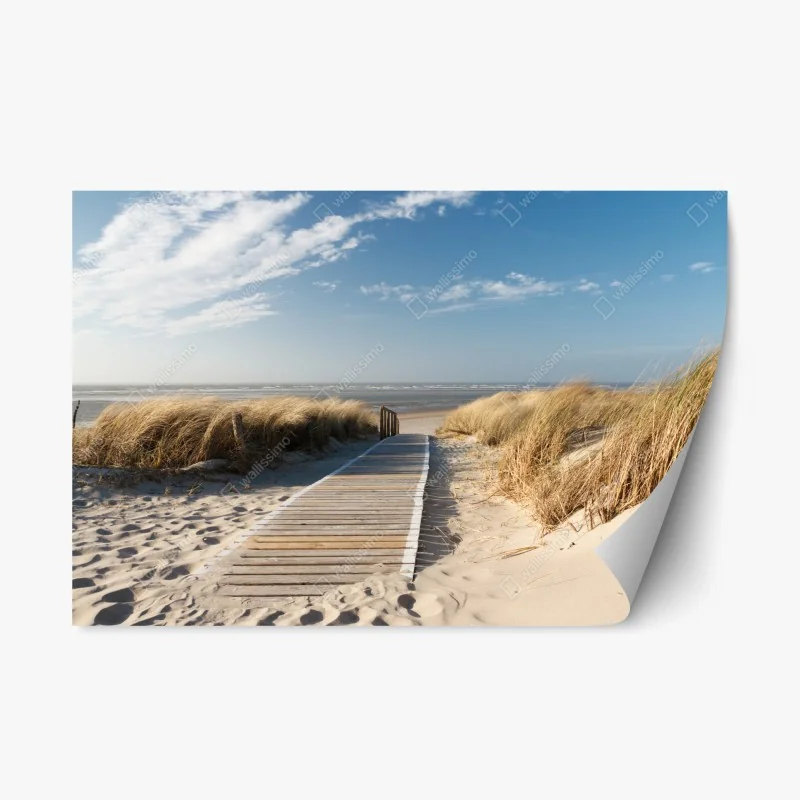 Adesivo riposizionabile passerella verso il mare