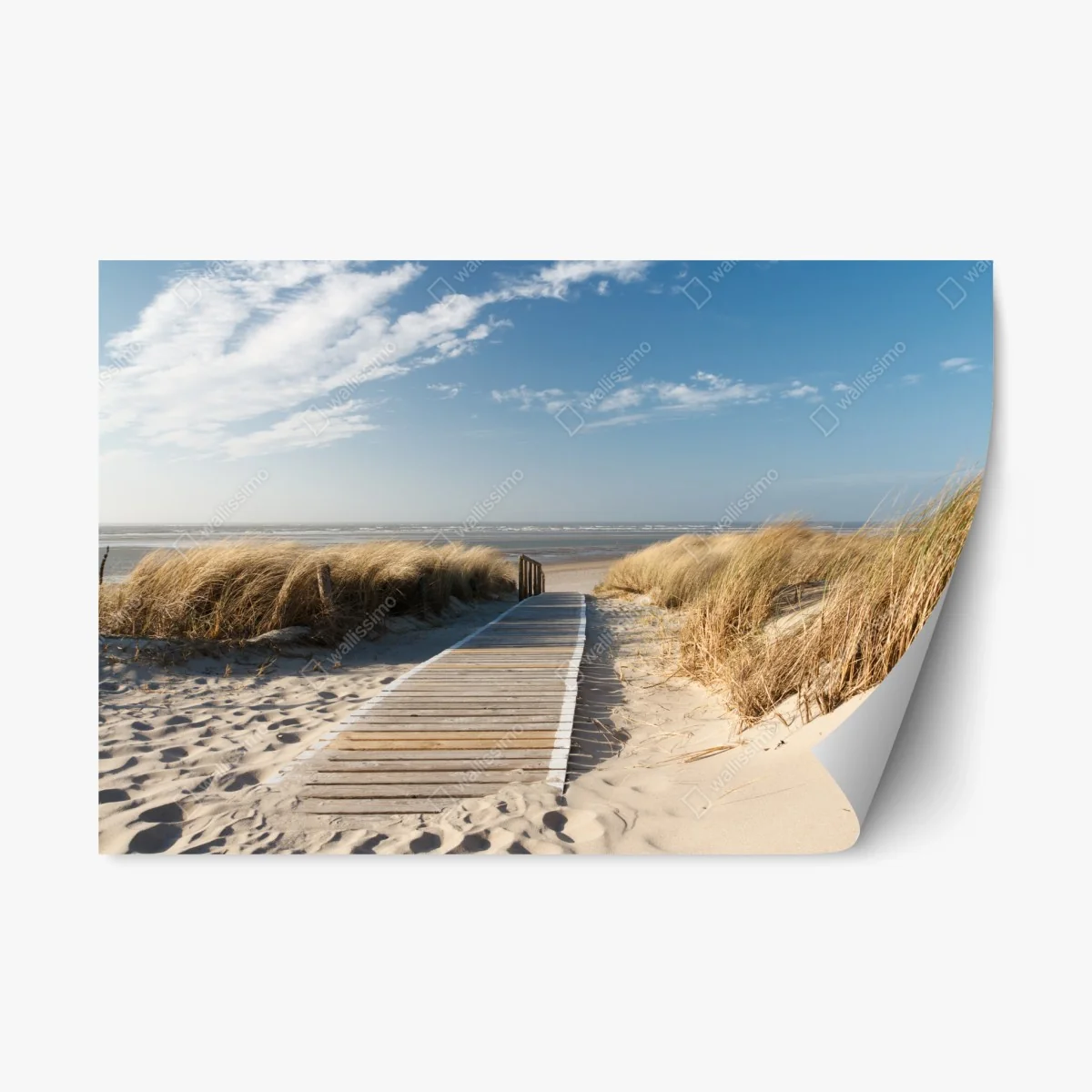 Adesivo riposizionabile passerella verso il mare • Wallissimo® Adesivo riposizionabile passerella verso il mare • Wallissimo®