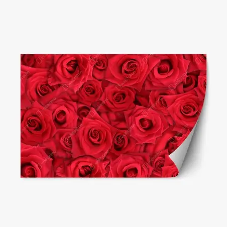 Adesivo riposizionabile mosaico di rose rosse • Wallissimo®