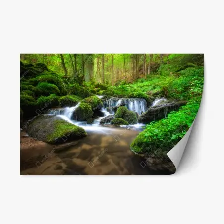 Adesivo riposizionabile cascata nel bosco di muschio • Wallissimo®
