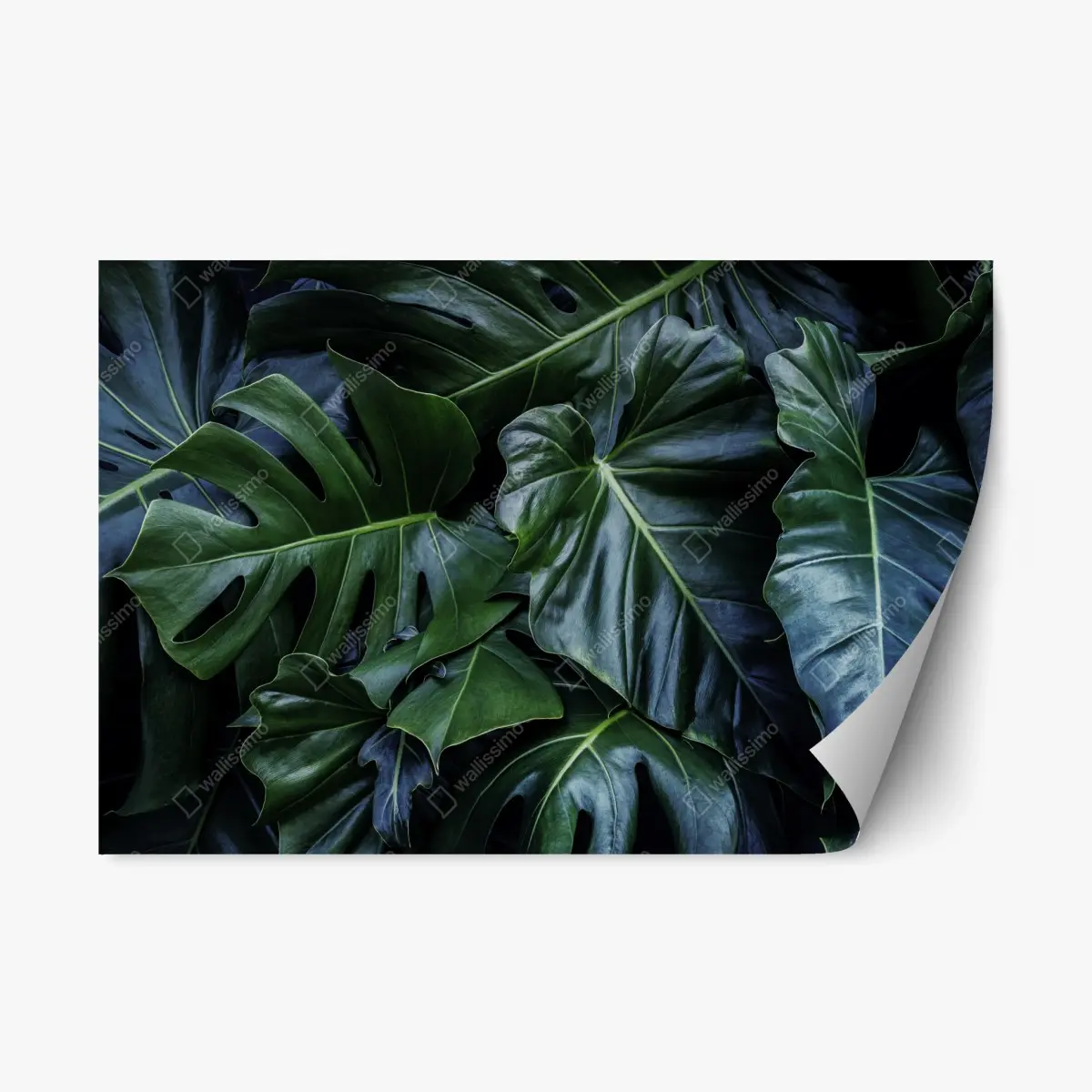 Adesivo riposizionabile fogliame tropicale verde smeraldo • Wallissimo®