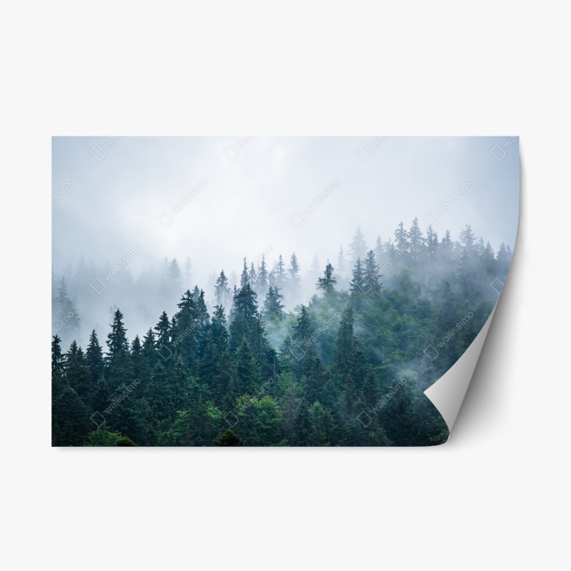 Adesivo riposizionabile foresta di abeti nella nebbia