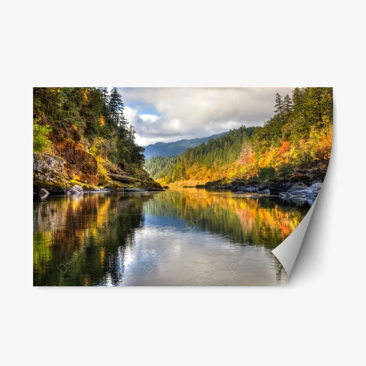 Adesivo riposizionabile riflessi d'autunno sul Rogue River • Wallissimo®