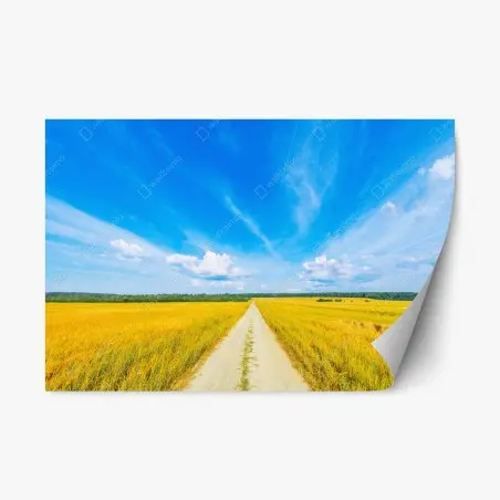 Adesivo riposizionabile strada nel campo dorato sotto un cielo infinito • Wallissimo®