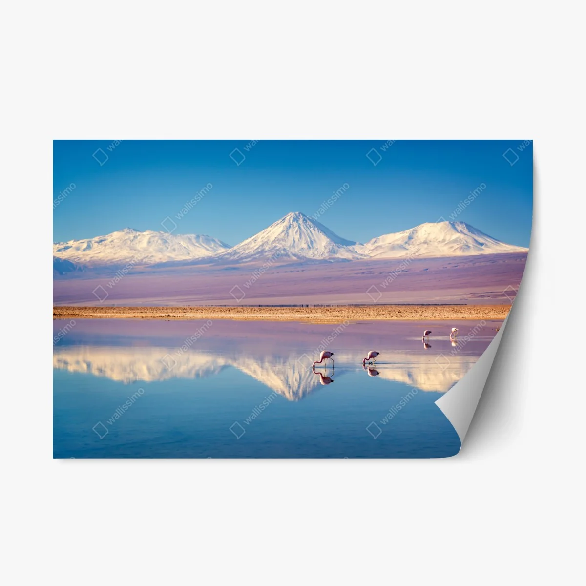 Adesivo riposizionabile riflessi del Licancabur sulle acque della Laguna Chaxa • Wallissimo® Adesivo riposizionabile riflessi del Licancabur sulle acque della Laguna Chaxa • Wallissimo®