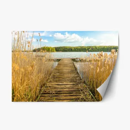 Adesivo riposizionabile molo tra le canne sul lago • Wallissimo®