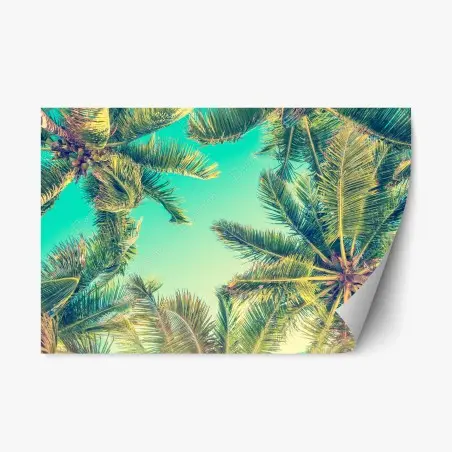 Adesivo riposizionabile cielo tropicale tra le palme • Wallissimo®