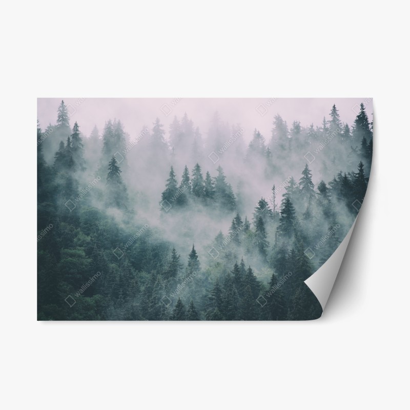 Adesivo riposizionabile foresta avvolta nella nebbia