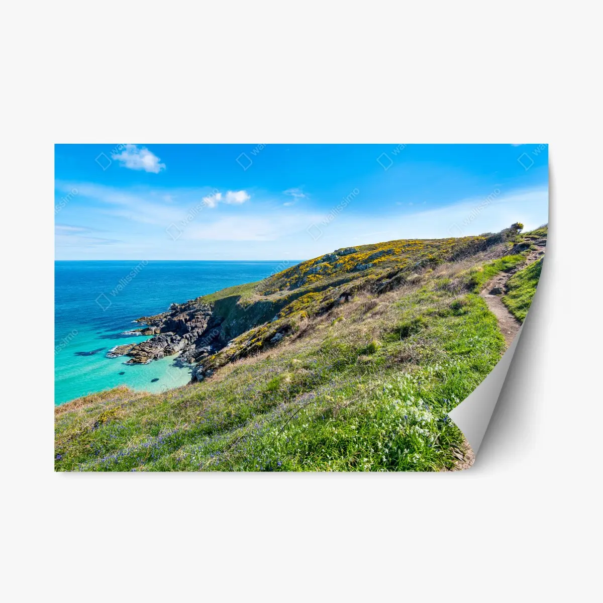 Adesivo riposizionabile panorama del sentiero costiero di St Ives • Wallissimo®