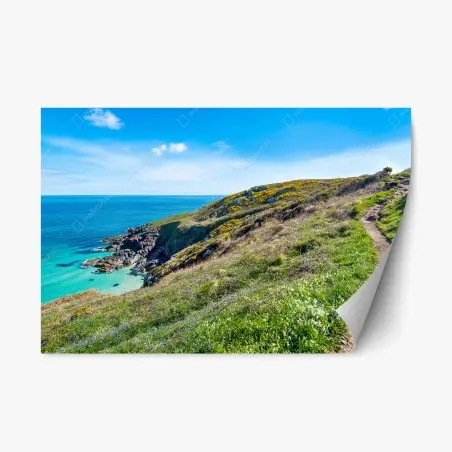 Adesivo riposizionabile panorama del sentiero costiero di St Ives • Wallissimo®