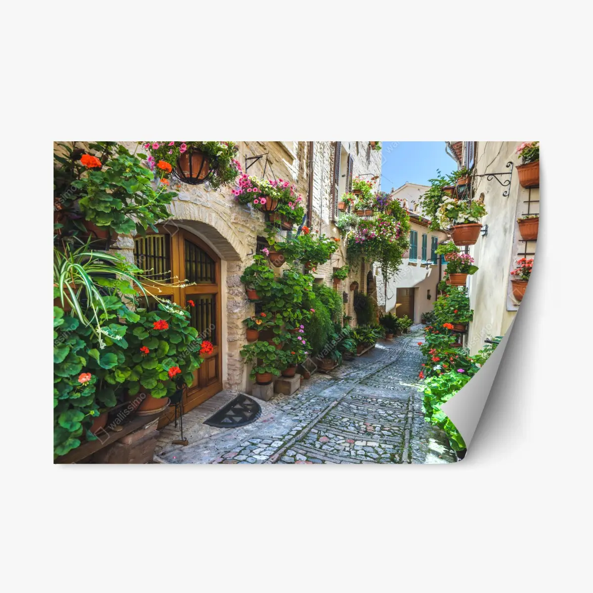 Adesivo riposizionabile angolo fiorito di Spello • Wallissimo®