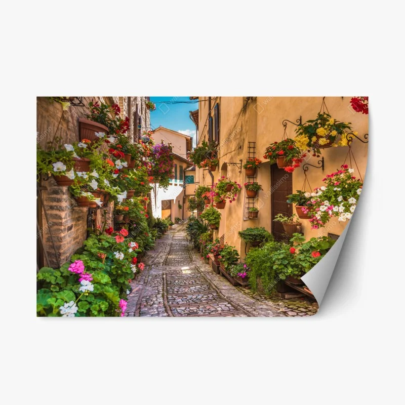 Adesivo riposizionabile vicolo fiorito in Umbria