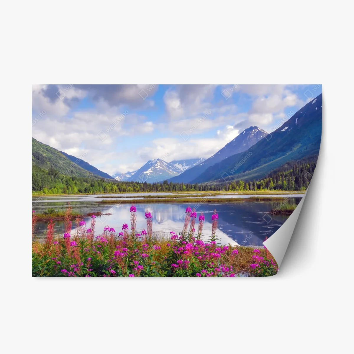 Adesivo riposizionabile lago Tern tra le montagne della penisola di Kenai • Wallissimo® Adesivo riposizionabile lago Tern tra le montagne della penisola di Kenai • Wallissimo®