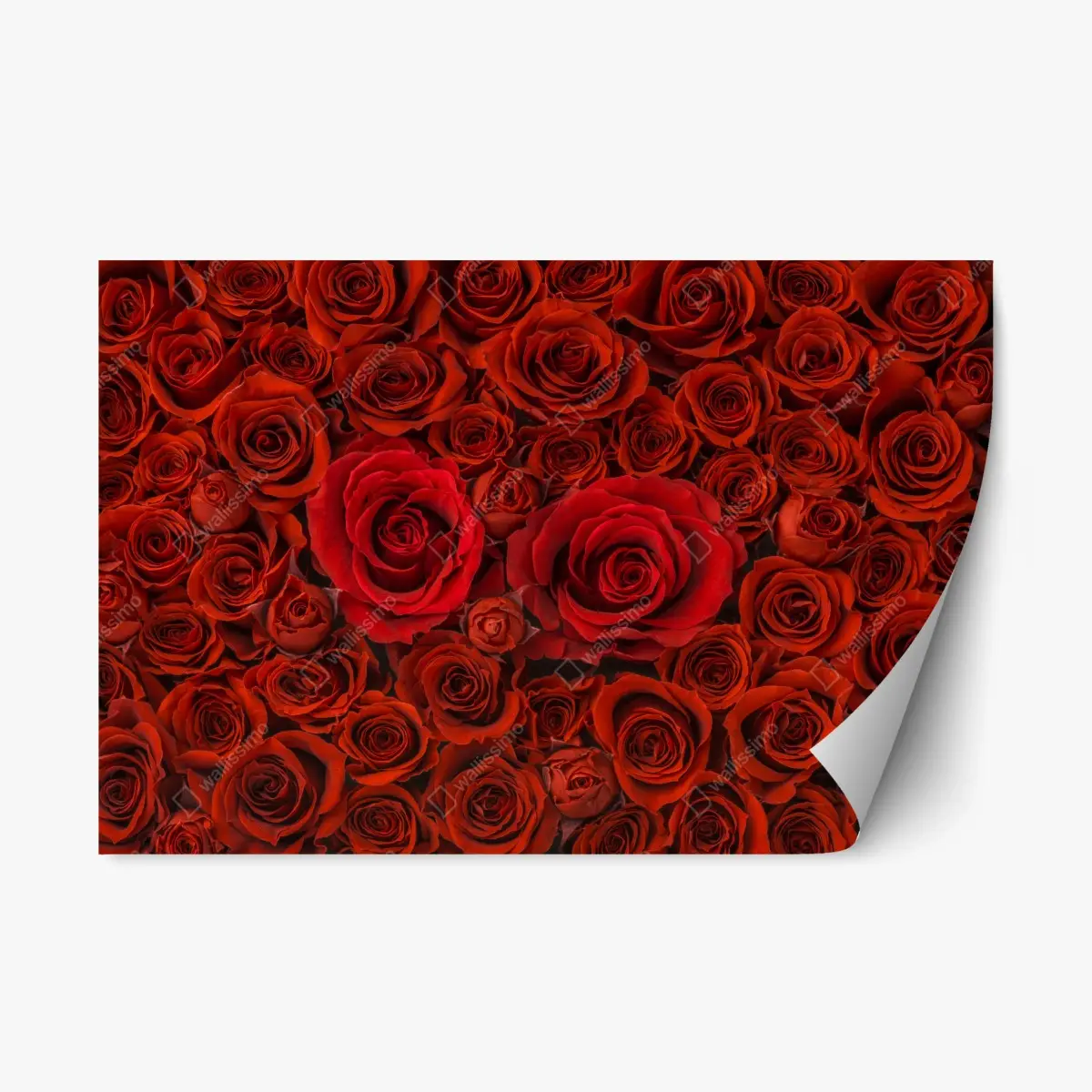 Adesivo riposizionabile mosaico di rose rosse • Wallissimo®