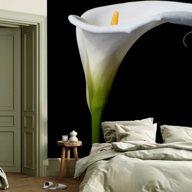 Carta da parati elegante calla bianca su sfondo nero