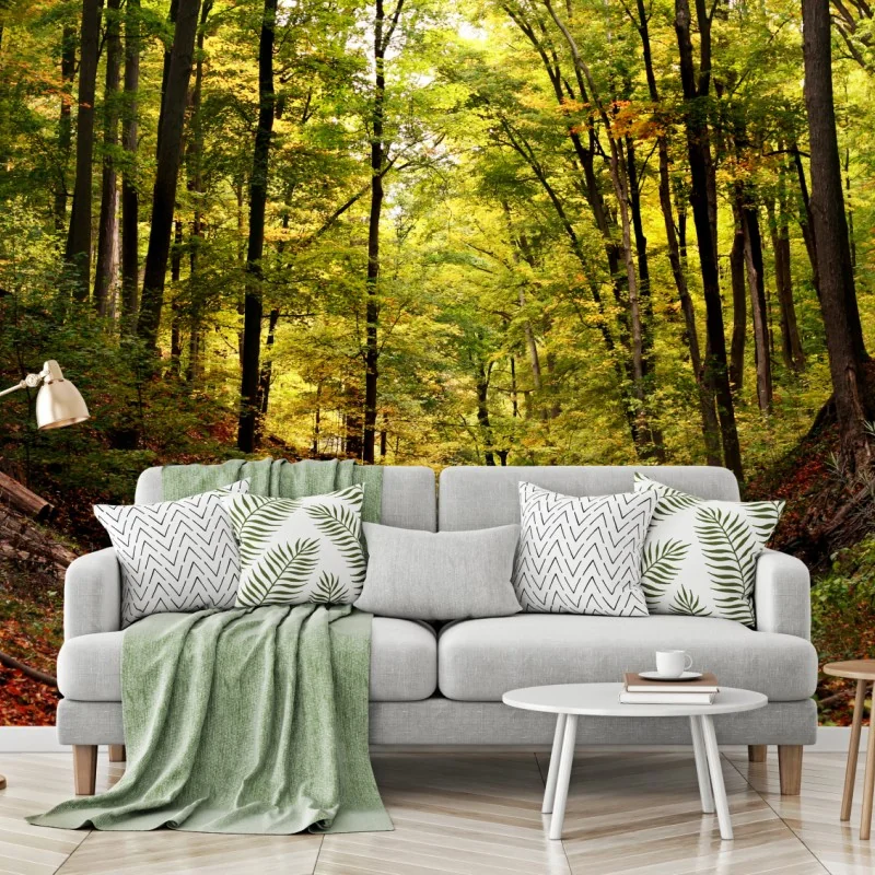 Carta da parati sentiero dorato nel bosco autunnale