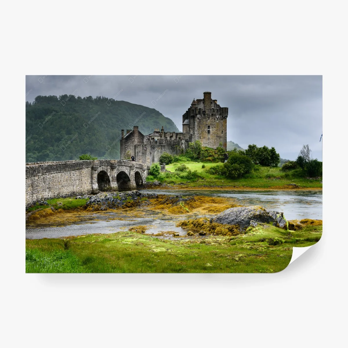 Carta da parati silenzioso castello sulle acque verdeggianti • Wallissimo®