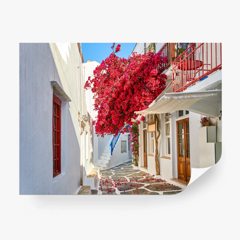 Carta da parati vicoletto fiorito con bougainvillea