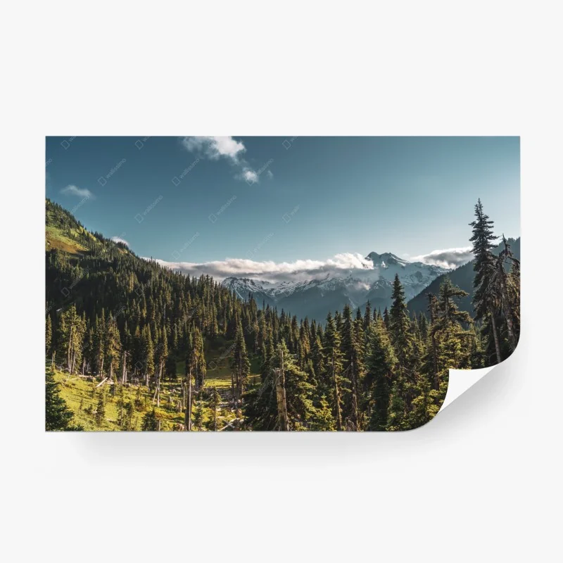 Carta da parati panorama montano tra pini e cime innevate