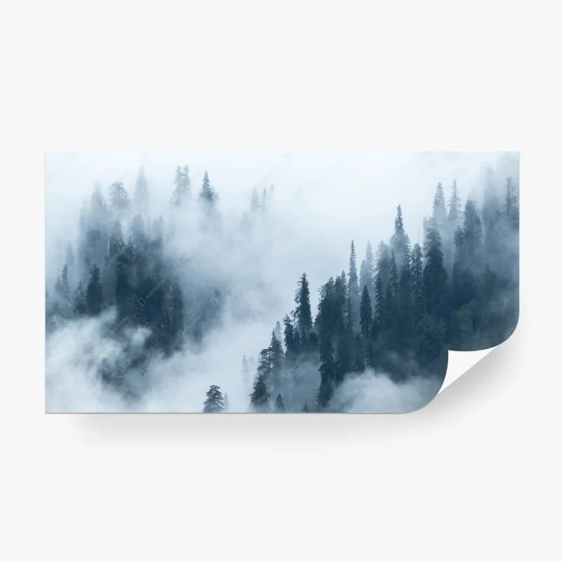 Carta da parati foresta di conifere nella nebbia