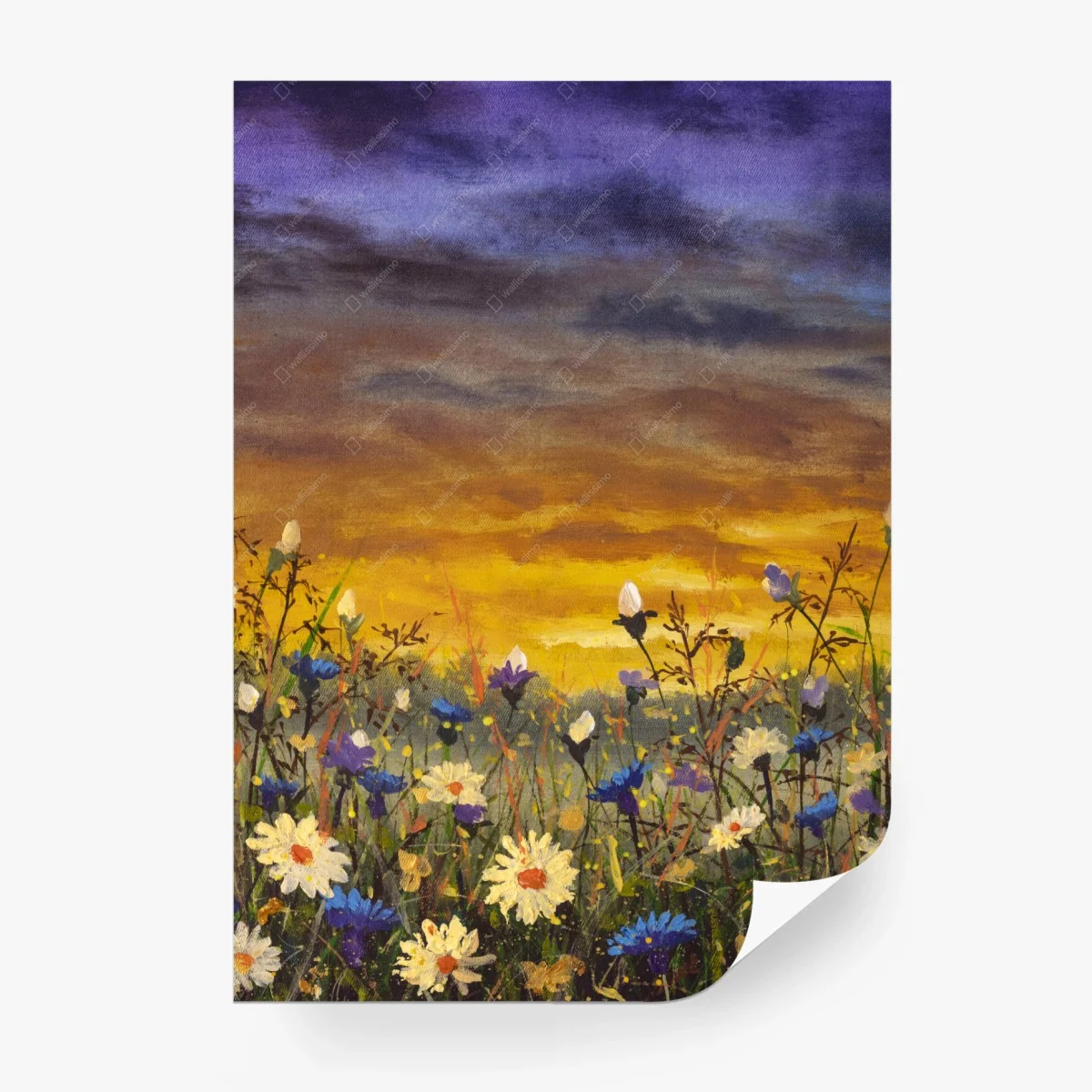 Carta da parati campo di margherite al tramonto in stile impressionista • Wallissimo® Carta da parati campo di margherite al tramonto in stile impressionista • Wallissimo®