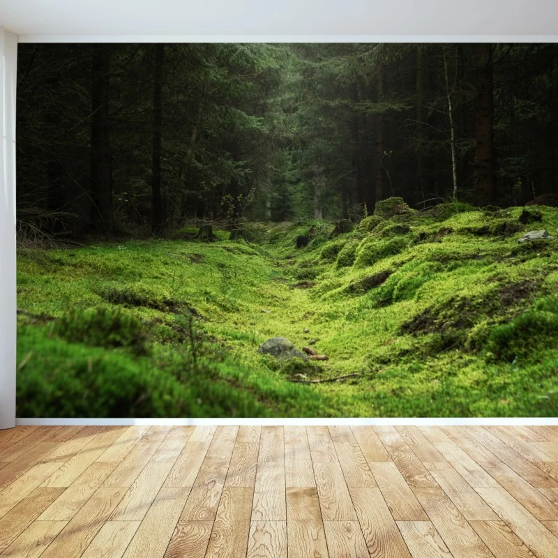 Carta da parati bosco di muschio: scena verde e misteriosa