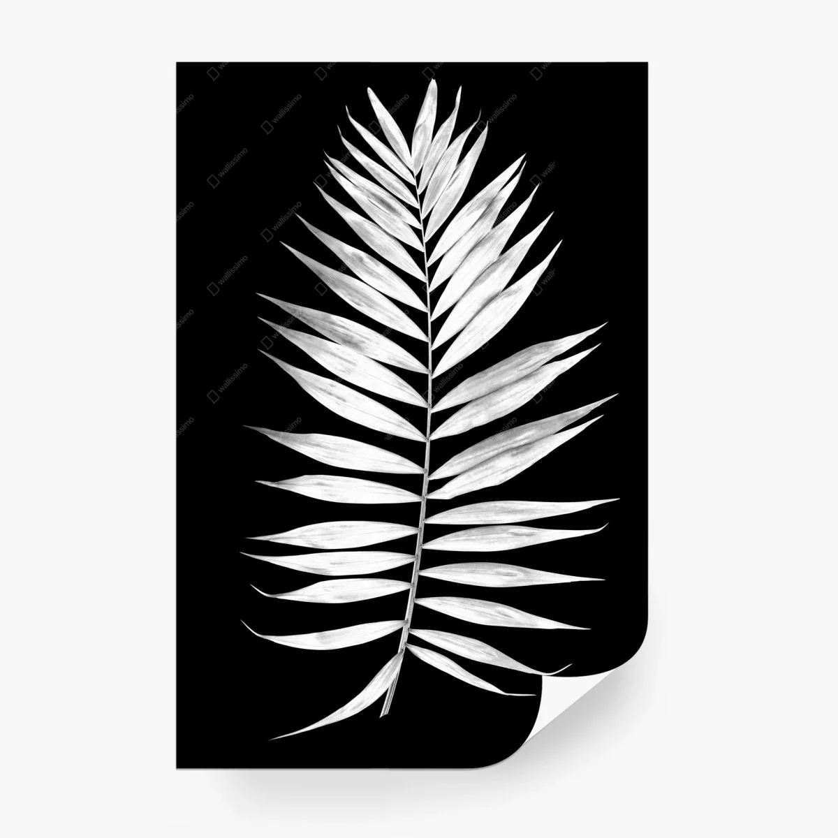 Carta da parati foglia di palma in bianco e nero minimalista • Wallissimo®
