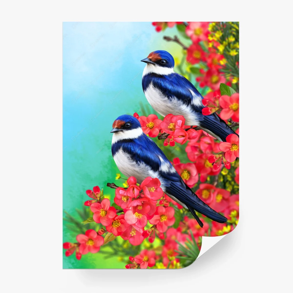 Carta da parati coppia di rondini blu su fiori rosa • Wallissimo®